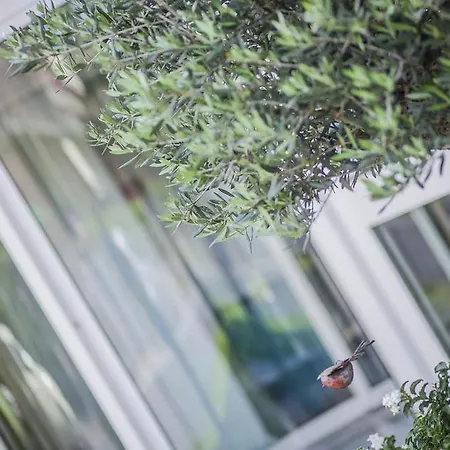 Hotel Domus マリーナ・ディ・マッサ