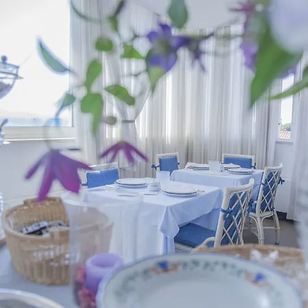 Hotel Hotel Domus 3*